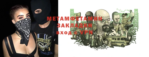 индика Аркадак