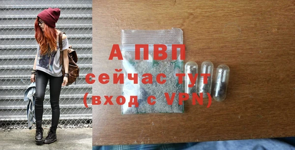 индика Аркадак