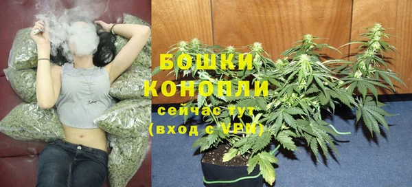 стаф Ростов