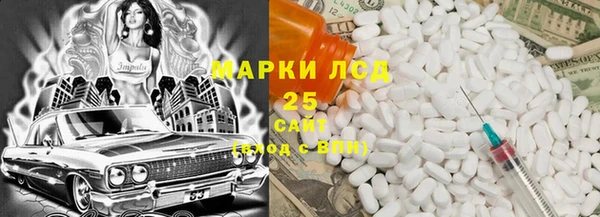 хмурый Арсеньев
