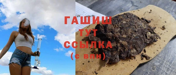 индика Аркадак