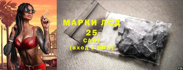 хмурый Арсеньев
