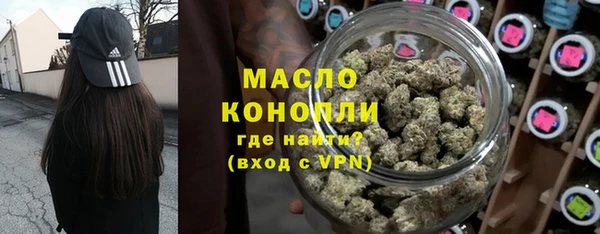 хмурый Арсеньев